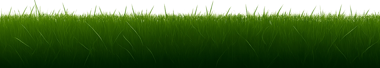 Grasspr one